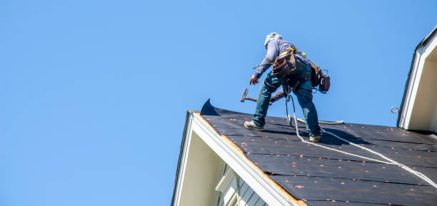Best Gutter Installation and Roofing  in Kingston, PA